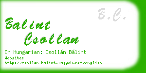 balint csollan business card